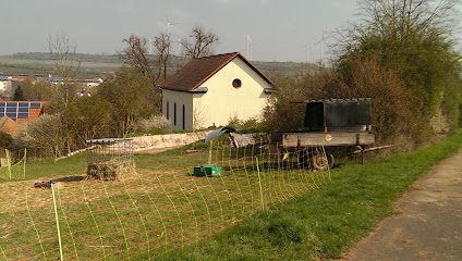 (Bolanden) Mennonitengemeinde Weierhof K.d.ö.R.