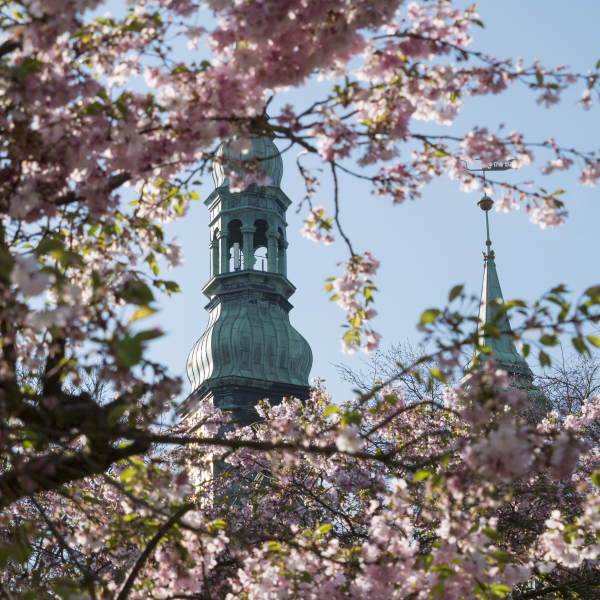 (Hamburg Altona-Altstadt) St. Trinitatis Altona