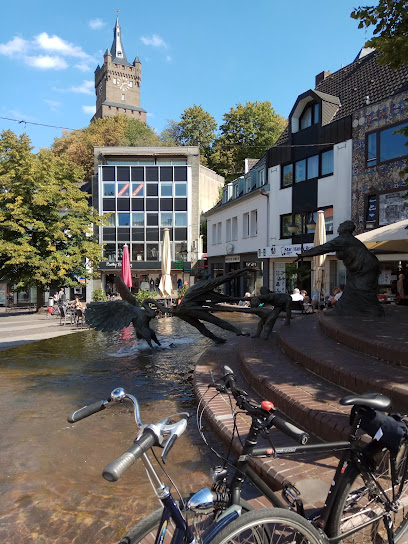 (Kleve) Vineyard-Kleve
